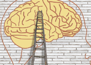 Piaget’s theory of Cognitive Development