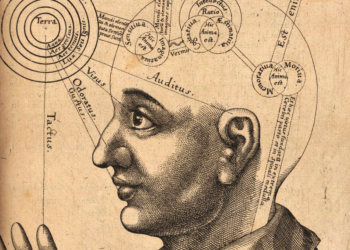 Phenomenological Reduction