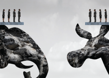 Political Misperception